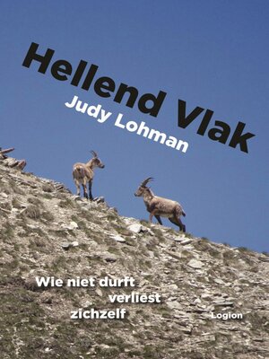cover image of Hellend Vlak